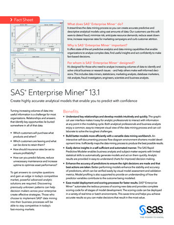 SAS Enterprise Miner 13