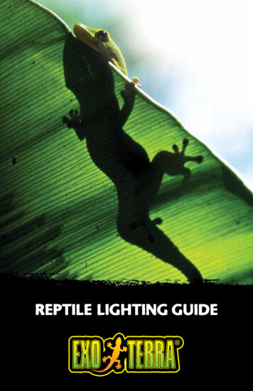 Reptile Lighting Guide - Exo Terra