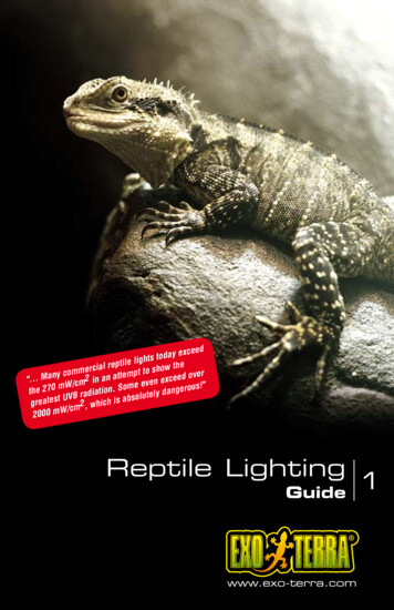 Reptile Lighting 1 Guide - Hagen