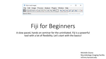Fiji For Beginners - Harvard University