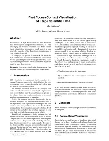 Fast Focus Context Visualization Of Large Scientiﬁc Data
