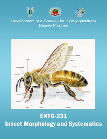 Insect Morphology And Systematics Author - AgriMoon