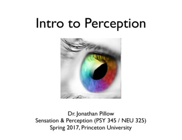 Intro To Perception