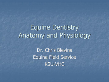 Equine Dentistry Anatomy And Physiology