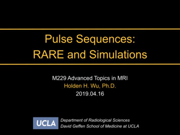 Pulse Sequences: RARE And Simulations
