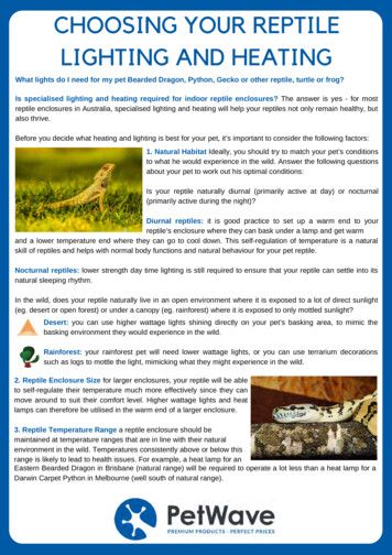 CHOOSING YOUR REPTILE LIGHTING AND HEATING