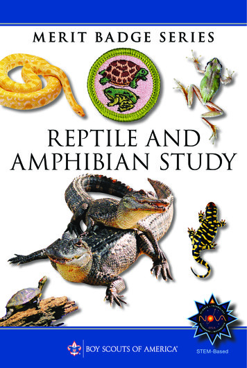 REPTILE AND AMPHIBIAN STUDY
