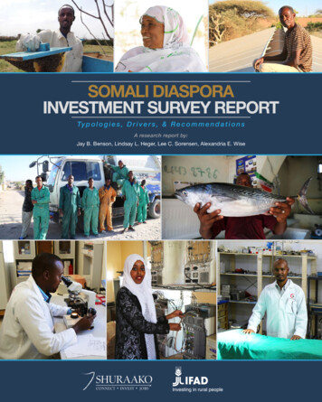 SOMALI DIASPORA INVESTMENT SURVEY REPORT - Shuraako