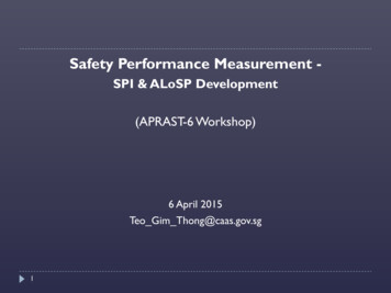Safety Performance Measurement - ICAO