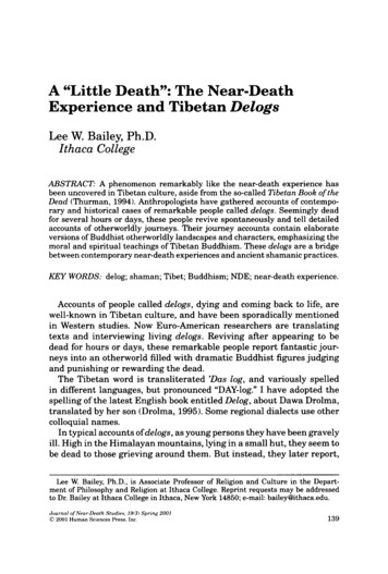 A Little Death: The Near-Death Experience And Tibetan 