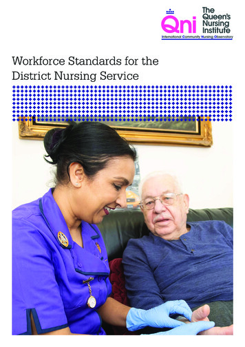 Workforce Standards For The District Nursing Service
