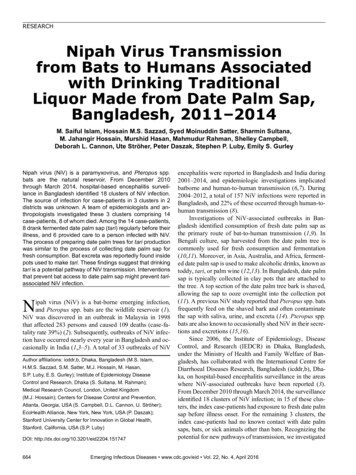 Nipah Virus Transmission From Bats To Humans Associated With Drinking .