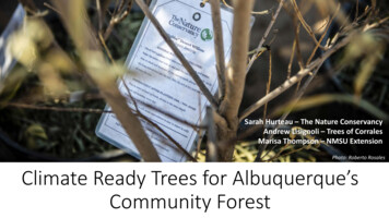 Climate Ready Trees For Albuquerque's Community Forest