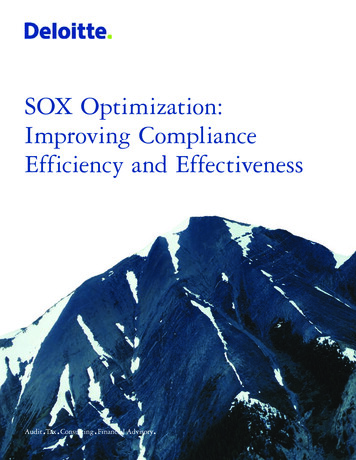 SOX Optimization: Improving Compliance Efficiency And . - SOX Expert