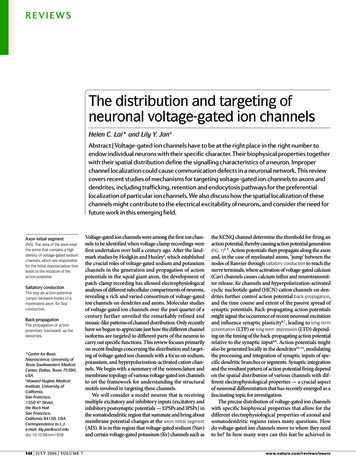 Distribution And Targeting Of Neuronal Voltage-Gated Ion Channels
