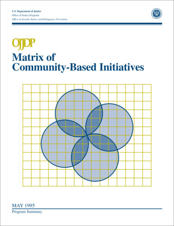 Matrix Of Community-Based Initiatives