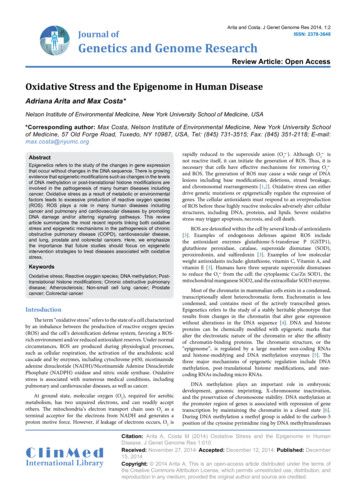 Oxidative Stress And The Epigenome In Human Disease - Semantic Scholar