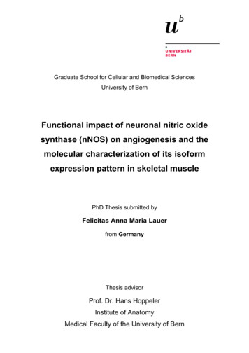 Functional Impact Of Neuronal Nitric Oxide Synthase (nNOS) On .