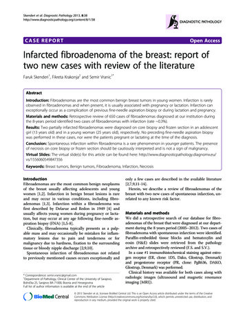 CASE REPORT Open Access Infarcted Fibroadenoma Of The Breast: Report Of .