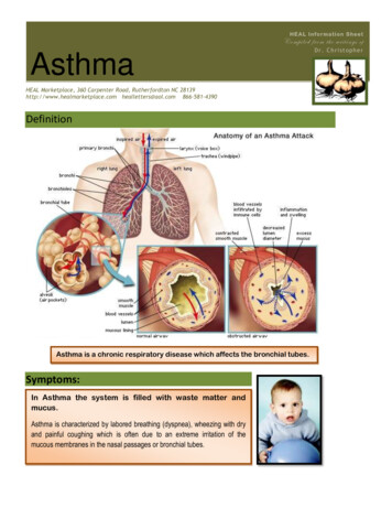 HEAL Information Sheet Asthma Dr. Christopher