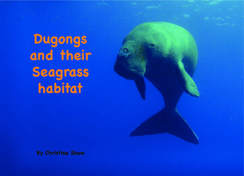 Dugongs And Their Seagrass - IUCN
