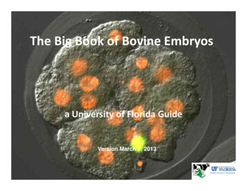 The Big Book Of Bovine Embryos 3-6-2013