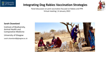 Integrating Dog Rabies Vaccination Strategies