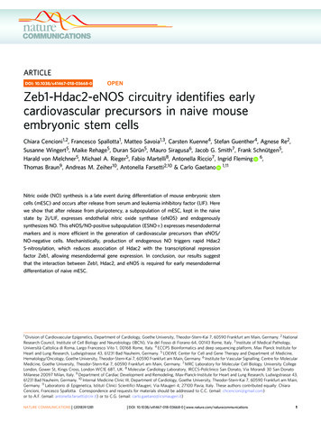 Zeb1-Hdac2-eNOS Circuitry Identifies Early Cardiovascular Precursors In .