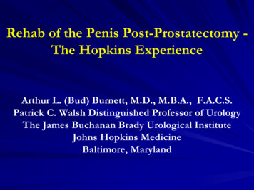Rehab Of The Penis Post-Prostatectomy - The Hopkins 