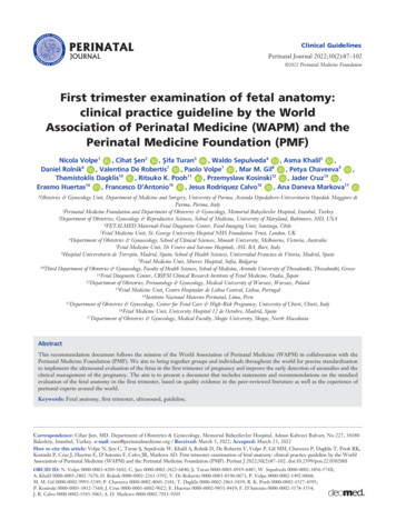 First Trimester Examination Of Fetal Anatomy: Clinical Practice .
