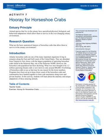 Hooray For Horseshoe Crabs Teacher Guide