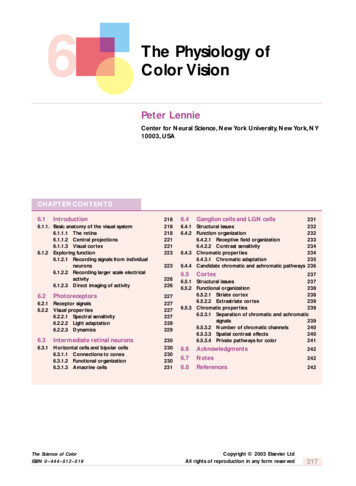 6 The Physiology Of Color Vision - University Of Illinois Chicago