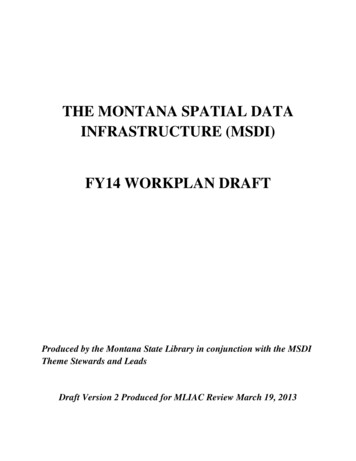 The Montana Spatial Data Infrastructure (Msdi) Fy14 Workplan Draft