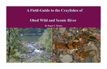 A Field-Guide To The Crayfishes Of - NPS