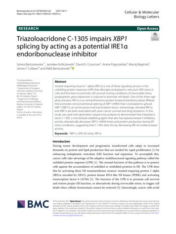 Triazoloacridone C-1305 Impairs - BioMed Central