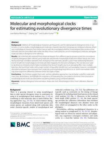 Molecular And Morphological Clocks For Estimating .