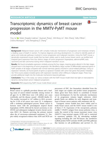 Transcriptomic Dynamics Of Breast Cancer Progression In The MMTV-PyMT .