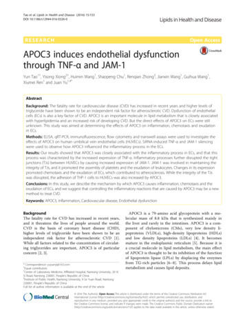 APOC3 Induces Endothelial Dysfunction Through TNF-α And JAM-1