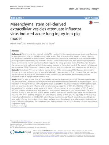 Mesenchymal Stem Cell-derived Extracellular Vesicles Attenuate .