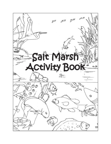 SSalt Marsh Alt Marsh AActivity Bookctivity Book