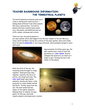 Terrestrial Planets Are Planets Made Up Of