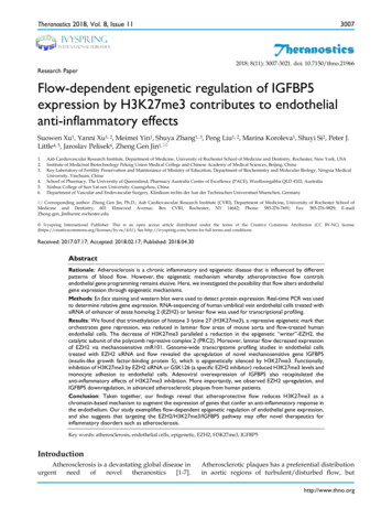 Research Paper Flow-dependent Epigenetic Regulation Of IGFBP5 .