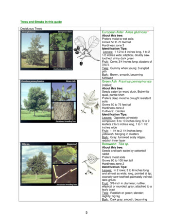 Trees And Shrubs In This Guide - Home NRCS