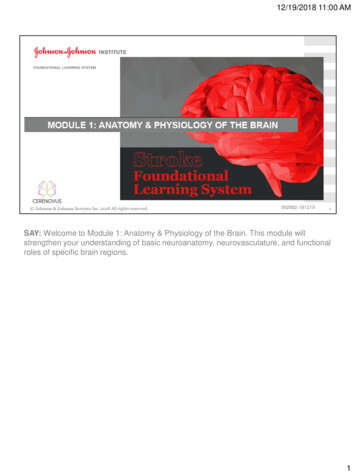 Welcome To Module 1: Anatomy & Physiology Of The Brain. This Module .