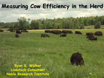 Measuring Cow Efficiency In The Herd