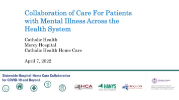 Collaboration Of Care For Patients With Mental Illness Across The .