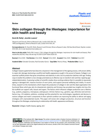 Skin Collagen Through The Lifestages: Importance For Skin .