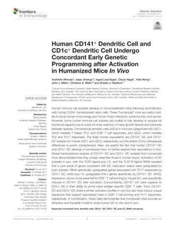 Human CD141 Dendritic Cell And CD1c Dendritic Cell Undergo Concordant .