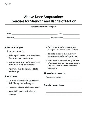 Above-Knee Amputation: Exercises For Strength And Range Of Motion