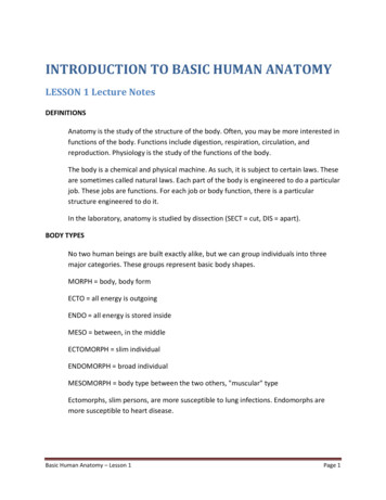 INTRODUCTION TO BASIC HUMAN ANATOMY - The Brookside Associates
